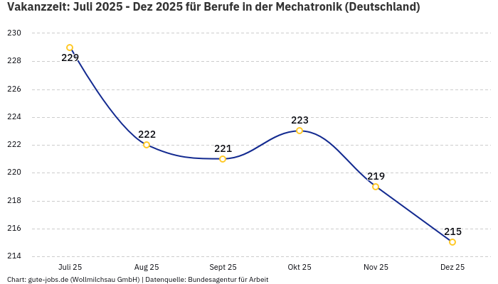 Vakanzzeit: Juli 2025 - Dez 2025 | Für Berufe in der Mechatronik | Bundesland Deutschland